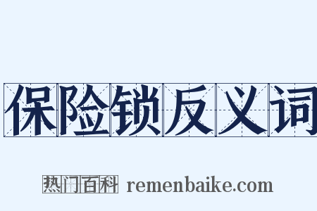 保险锁反义词是什么意思的图片